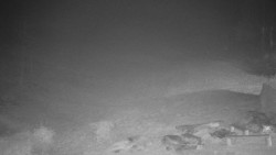 Běžecký lyžařský areál Nová Ves