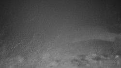 Běžecký lyžařský areál Nová Ves