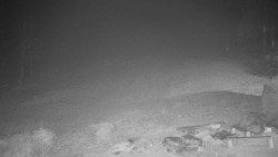 Běžecký lyžařský areál Nová Ves