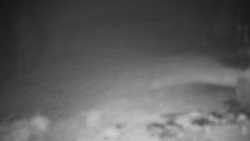 Běžecký lyžařský areál Nová Ves