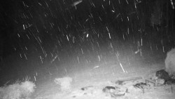 Běžecký lyžařský areál Nová Ves