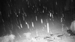 Běžecký lyžařský areál Nová Ves