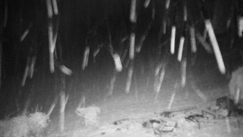 Snímek 17.11.2025 v 21:00