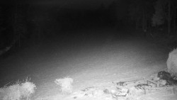 Běžecký lyžařský areál Nová Ves