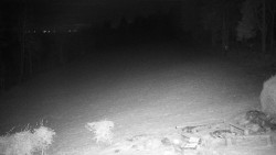 Běžecký lyžařský areál Nová Ves