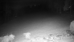 Běžecký lyžařský areál Nová Ves