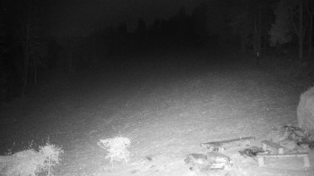 Snímek 18.11.2025 v 21:30