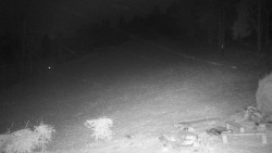 Běžecký lyžařský areál Nová Ves