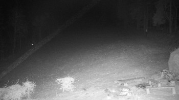 Snímek 19.11.2025 v 17:30