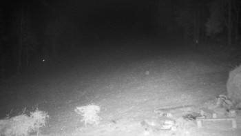 Snímek 19.11.2025 v 18:00