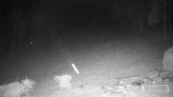 Snímek 19.11.2025 v 23:00