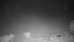 Běžecký lyžařský areál Nová Ves