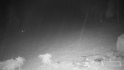 Běžecký lyžařský areál Nová Ves