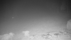 Běžecký lyžařský areál Nová Ves