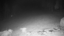 Běžecký lyžařský areál Nová Ves