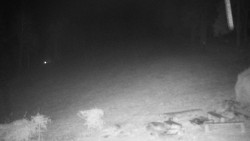 Běžecký lyžařský areál Nová Ves