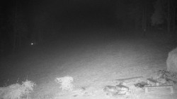 Běžecký lyžařský areál Nová Ves