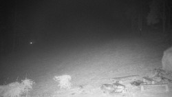 Běžecký lyžařský areál Nová Ves