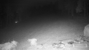 Chata Myslivna SKP Olomouc - Běžecký lyžařský areál Nová Ves - 21.11.2025 v 00:00 Chata Myslivna SKP Olomouc - Běžecký lyžařský areál Nová Ves - 21.11.2025 v 00:00