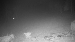 Běžecký lyžařský areál Nová Ves