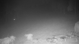 Chata Myslivna SKP Olomouc - Běžecký lyžařský areál Nová Ves - 21.11.2025 v 01:30 Chata Myslivna SKP Olomouc - Běžecký lyžařský areál Nová Ves - 21.11.2025 v 01:30