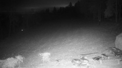 Běžecký lyžařský areál Nová Ves