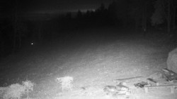 Běžecký lyžařský areál Nová Ves