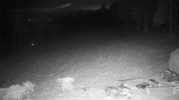 Snímek 21.11.2025 v 21:30