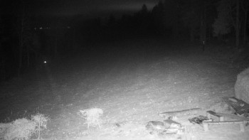 Snímek 21.11.2025 v 23:00