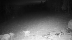 Běžecký lyžařský areál Nová Ves