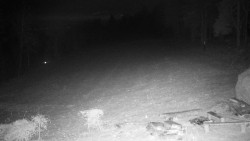 Běžecký lyžařský areál Nová Ves