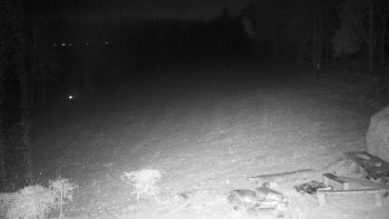 Snímek 22.11.2025 v 03:00