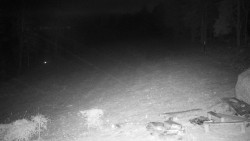 Běžecký lyžařský areál Nová Ves