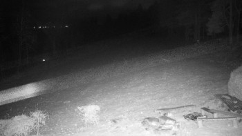 Snímek 22.11.2025 v 05:00