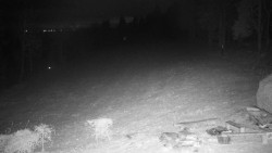 Běžecký lyžařský areál Nová Ves