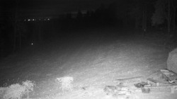 Běžecký lyžařský areál Nová Ves