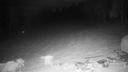 Běžecký lyžařský areál Nová Ves