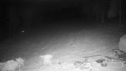 Běžecký lyžařský areál Nová Ves