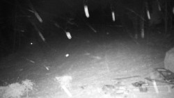 Běžecký lyžařský areál Nová Ves