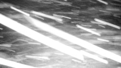 Běžecký lyžařský areál Nová Ves