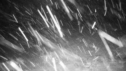 Běžecký lyžařský areál Nová Ves