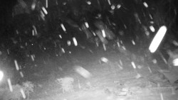 Běžecký lyžařský areál Nová Ves