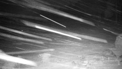 Běžecký lyžařský areál Nová Ves