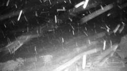 Běžecký lyžařský areál Nová Ves