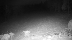 Běžecký lyžařský areál Nová Ves