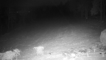 Snímek 23.11.2025 v 18:30