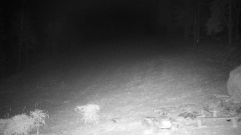 Snímek 23.11.2025 v 21:00