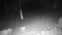 Běžecký lyžařský areál Nová Ves