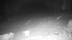 Běžecký lyžařský areál Nová Ves