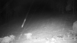 Běžecký lyžařský areál Nová Ves